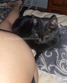 Анкета проститутки Зина - метро Тропарево-Никулино, возраст - 23